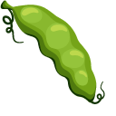 Green Bean