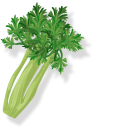 Green Celery