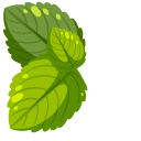 Green Mint Leaves