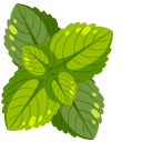 Green Mint Leaves