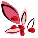 Hand-Drawn Pomegranate 