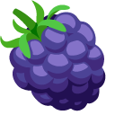 Mulberry