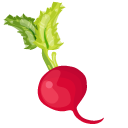 Radish