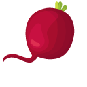 Radish