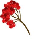 Viburnum