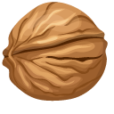 Walnuts
