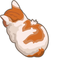 Angy Cat