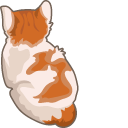 Angy Cat