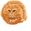 Bullet Cat