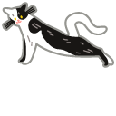 Cat Stretching and Catching a Fly