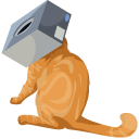 Cats Head Stuck in a Box