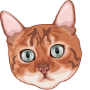 Cats Pounce Mode Engaged