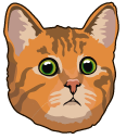 Confused Red Cat