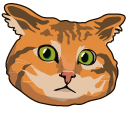 Confused Red Cat