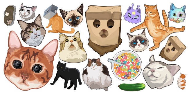 Funny Cats