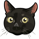 Frightened Cat