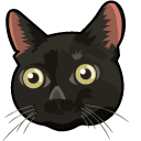Frightened Cat