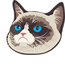 Grumpy Cat