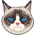 Grumpy Cat