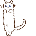 Jumping Cat