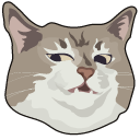 Knife Cat