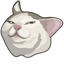 Knife Cat