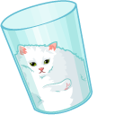 Liquid Cat