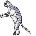 Medieval Cats