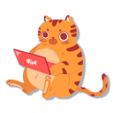 Orange Cat at Work