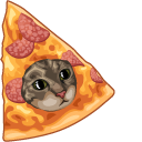 Pizza Cat