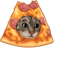 Pizza Cat