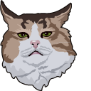 Rexie Cat