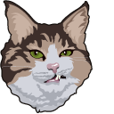 Rexie Cat