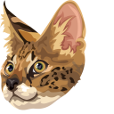Savannah Cat