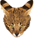 Savannah Cat