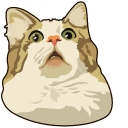 Scared Cat Meme