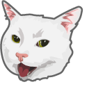 Serious Cat Meme