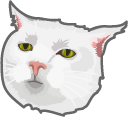 Serious Cat Meme