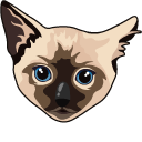 Siamese Cat and Kitten