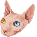Sphynx Cat