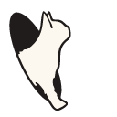 White Cat in a Teleport