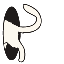 White Cat in a Teleport
