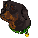 GTA 5 Franklin and Chop