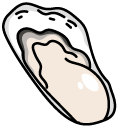 Gudetama Resting on an Oyster Shell
