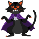 Halloween Black Cats