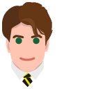 Harry Potter Cedric Diggory Wand