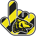 Harry Potter Hufflepuff