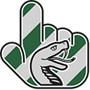 Harry Potter Slytherin