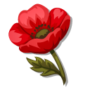 Memorial Day Red Poppy and Patriotic Ribbon