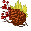 Thanksgiving Day Cornucopia and Conifer Cone